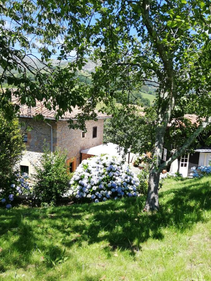 La Casa Nueva Alojamiento Rural Сереседа Экстерьер фото