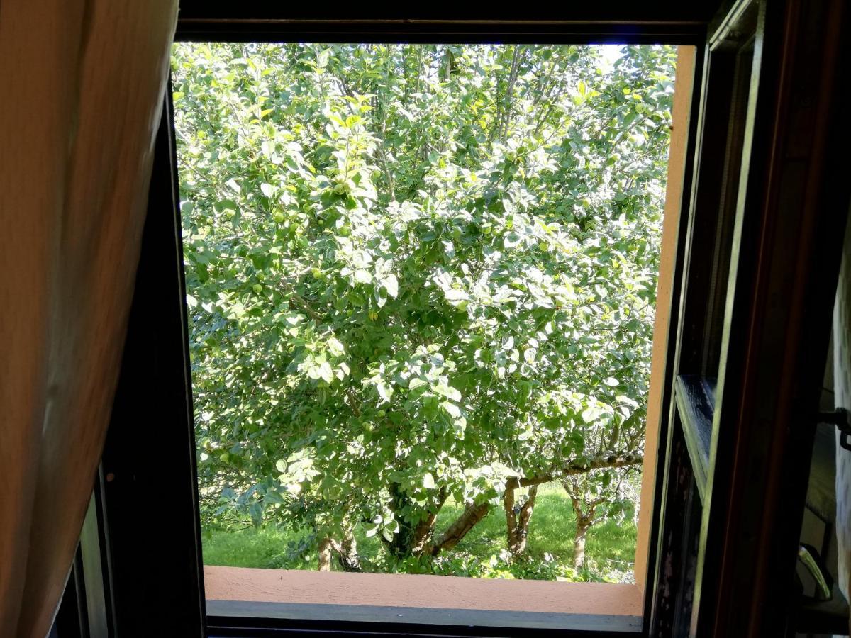 La Casa Nueva Alojamiento Rural Сереседа Экстерьер фото