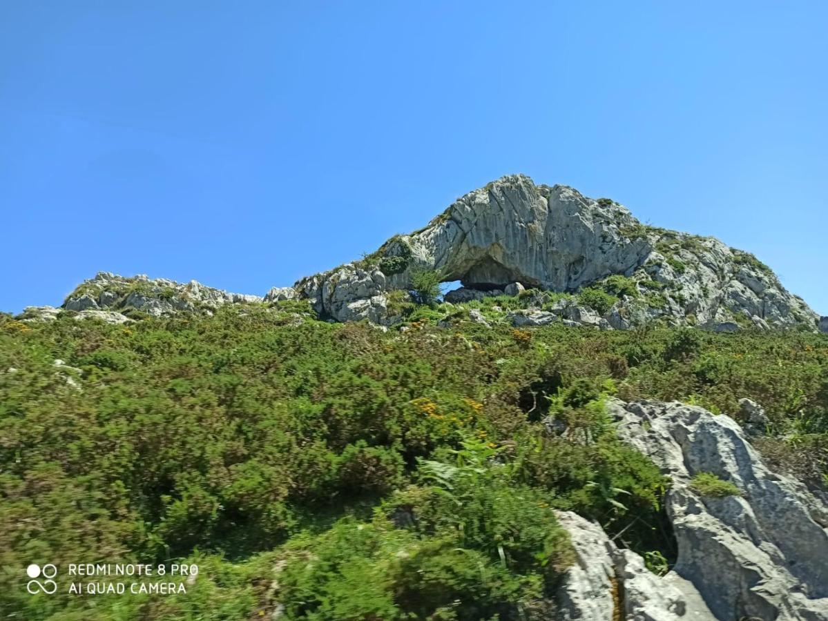 La Casa Nueva Alojamiento Rural Сереседа Экстерьер фото