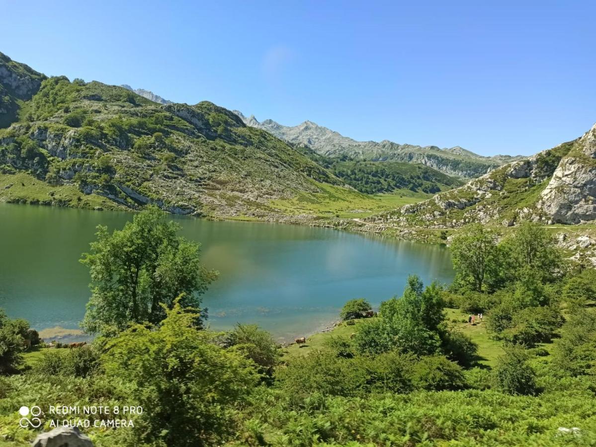 La Casa Nueva Alojamiento Rural Сереседа Экстерьер фото