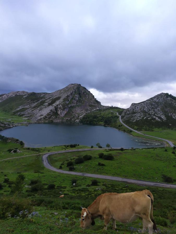La Casa Nueva Alojamiento Rural Сереседа Экстерьер фото