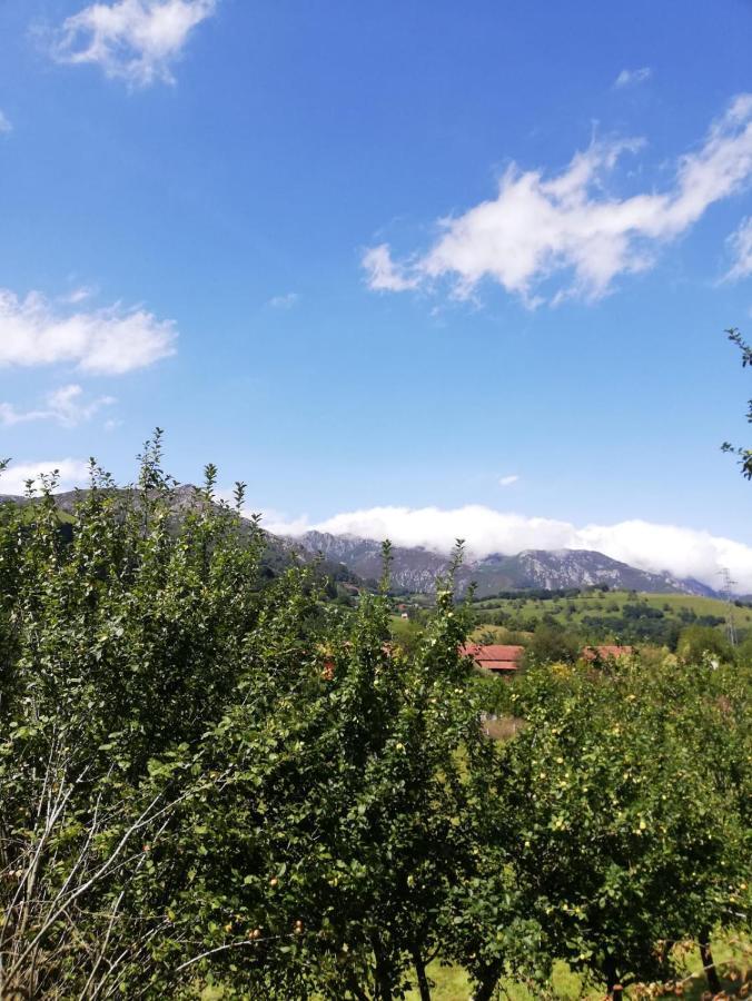 La Casa Nueva Alojamiento Rural Сереседа Экстерьер фото